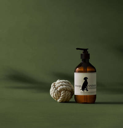 Aesop Anleitung