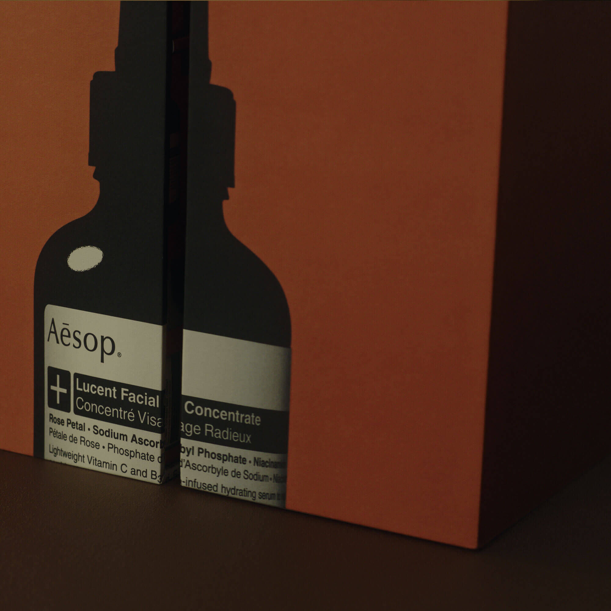 Das Aesop Heim