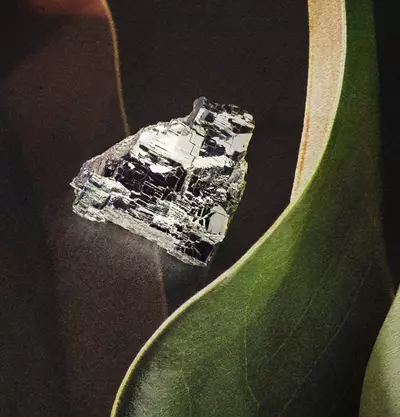 How to apply Entirely Aurner Eau de Parfum