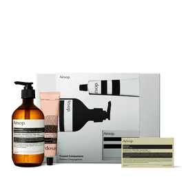 Eine bernsteinfarbene Pumpflasche, eine rosafarbene Tube und eine verpackte Seife, vor einer silbernen Aesop Trusted Companions Box auf weißem Grund arrangiert.