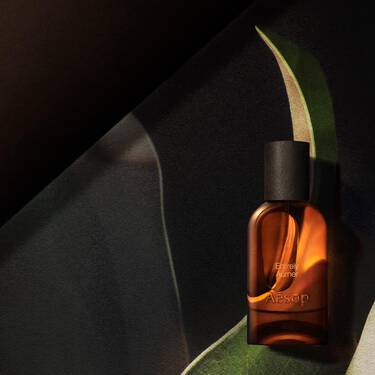 Einzelne bernsteinfarbene Aesop-Flasche, in warmes Licht getaucht, gerahmt von geschwungenen, blattartigen Formen in Dunkelgrun, Creme und Schwarz.
