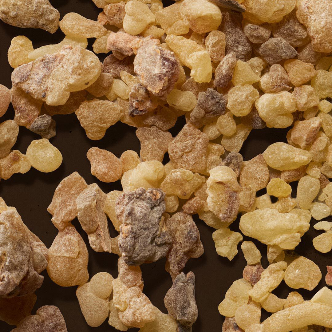 Close-up of amber resin pieces scattered across a dark surface.